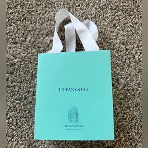 Tiffany & Co. Gift Bag with White Handles